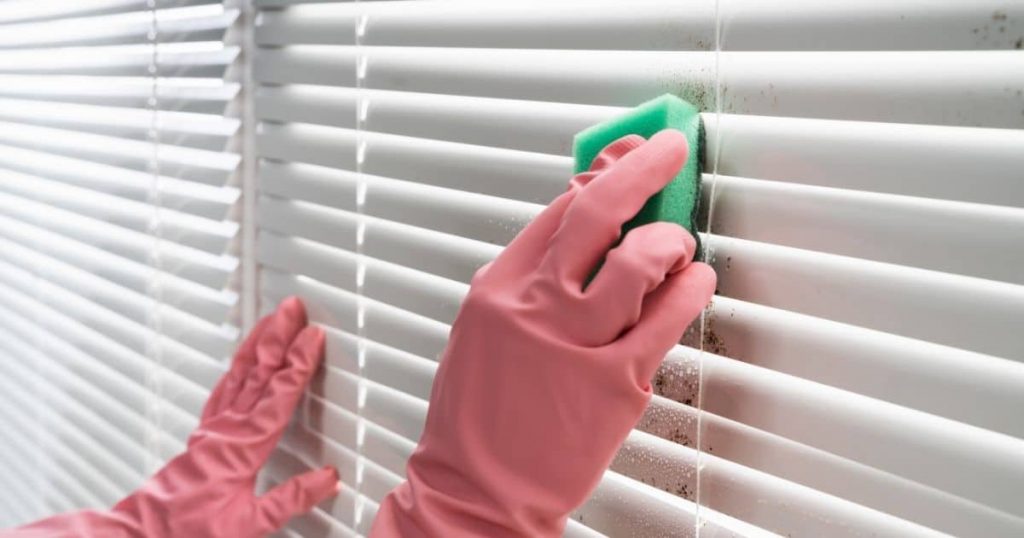 How to Clean Window Blinds Maggy Maid