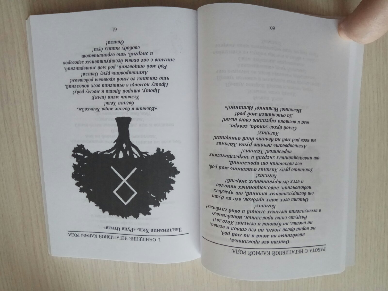 Книга Мир Хельхейм Рунические техники для работы с Родом Дельян