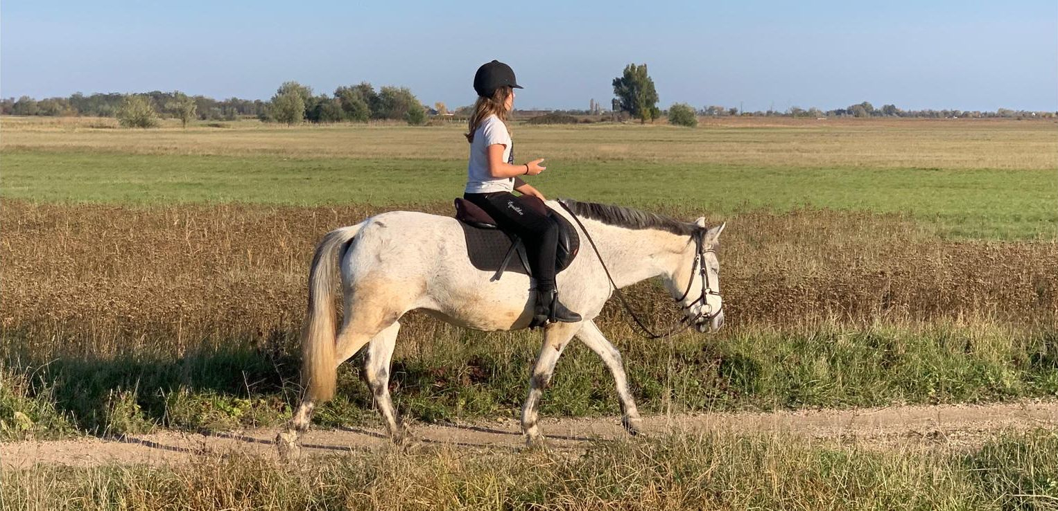 Mein Angebot Magic Pony Ranch