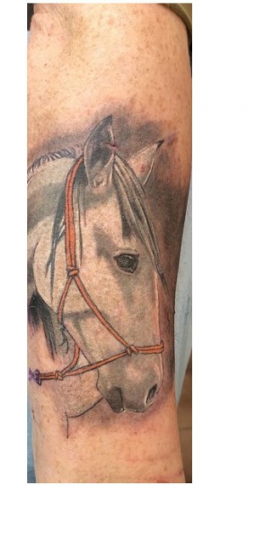 Tattoo : Woman's Arm 600_x_295_jpg