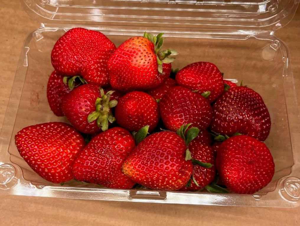 8 Beautiful Farms To Pick Strawberries At And Visit In New Jersey