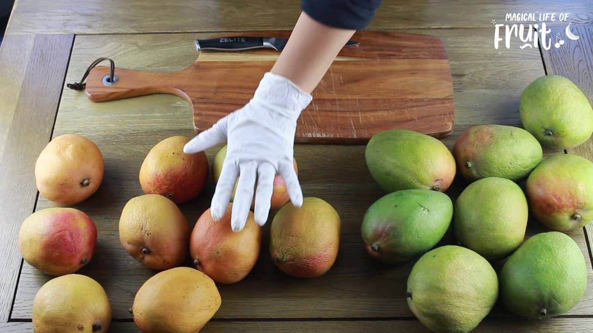 When Is A Mango Ripe? 6 Easy Signs