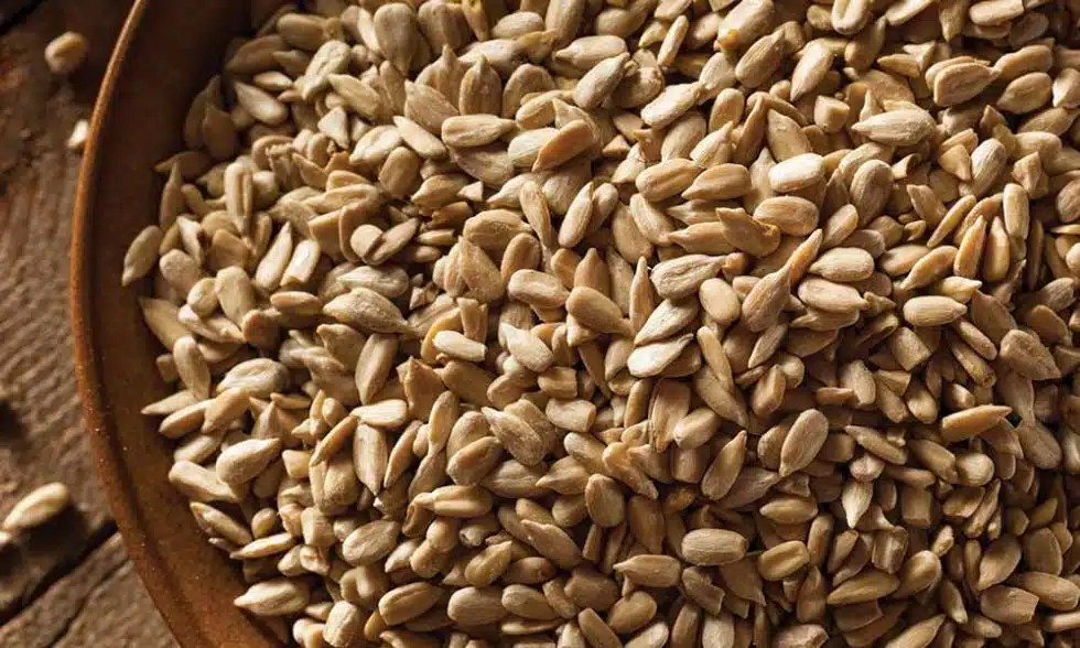 Sunflower Chips MAGIC FLAME