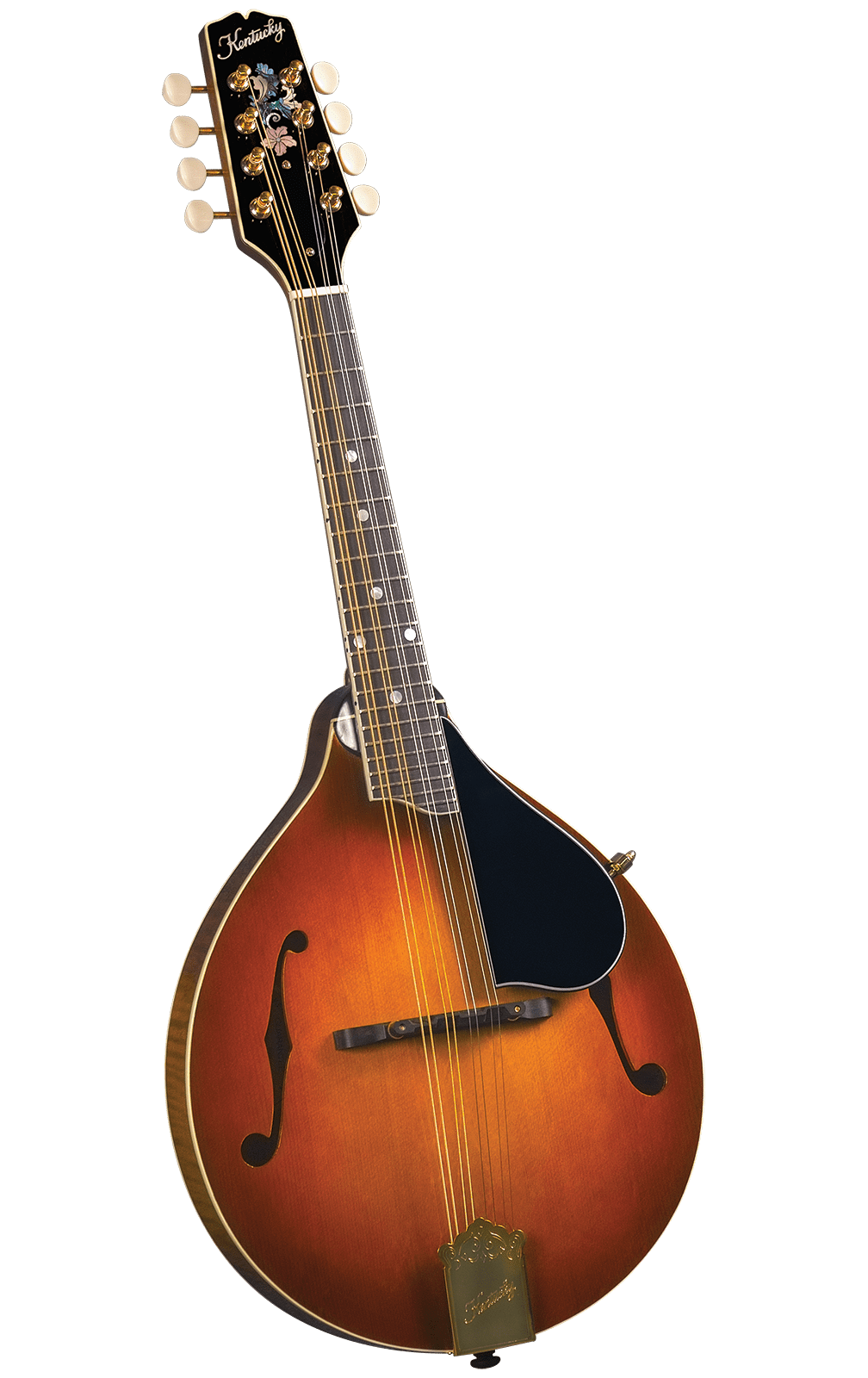 Music Lessons Multiple Instruments Magic Music Company