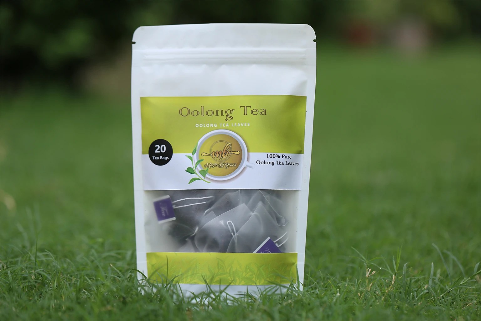 Oolong Tea Bags Magic of Beans Coffee & Tea Shop