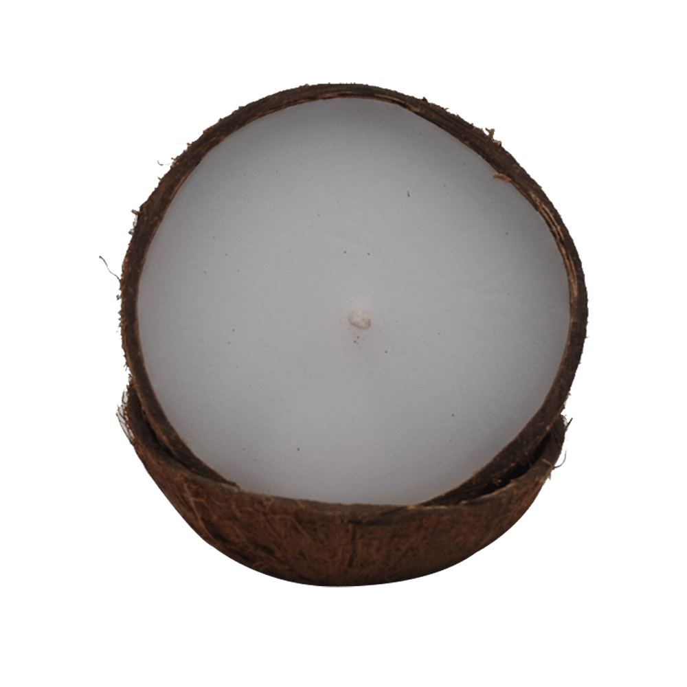 Coconut Candle Magic on Candle