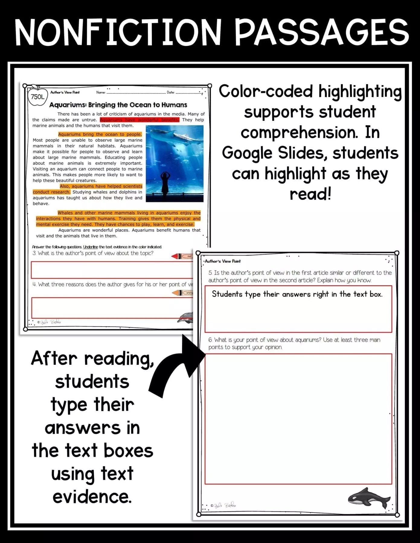Author’s Point of View Reading Passages 3rd Grade RI.3.6 MagiCore