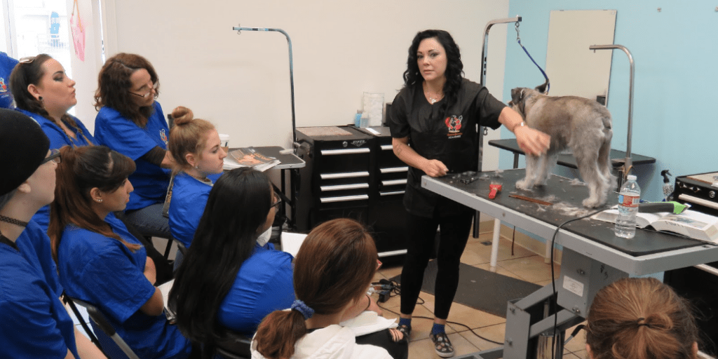 Training Course in Irvine, CA Magic Pet Spa