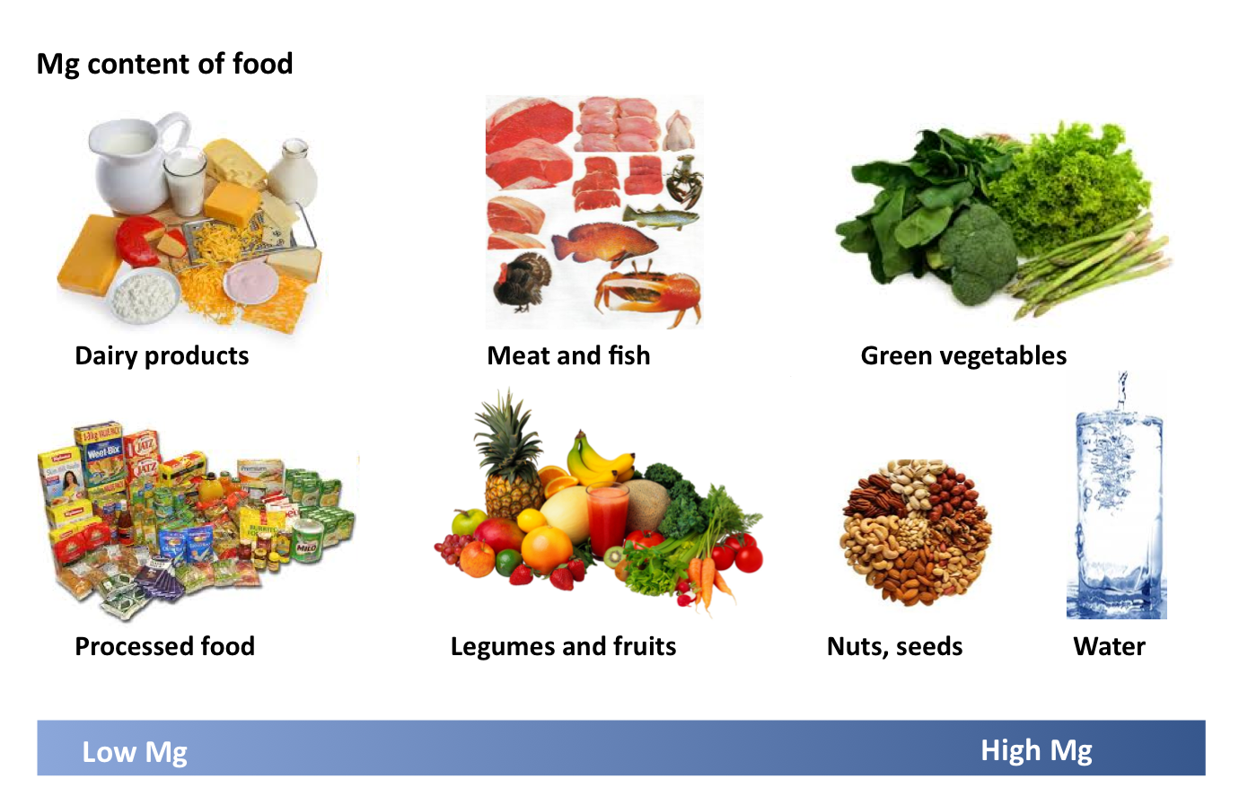Food levels The Magnesium Guide
