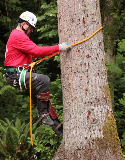 ROCK CLIMBING MAGPIE ECO TOURISM