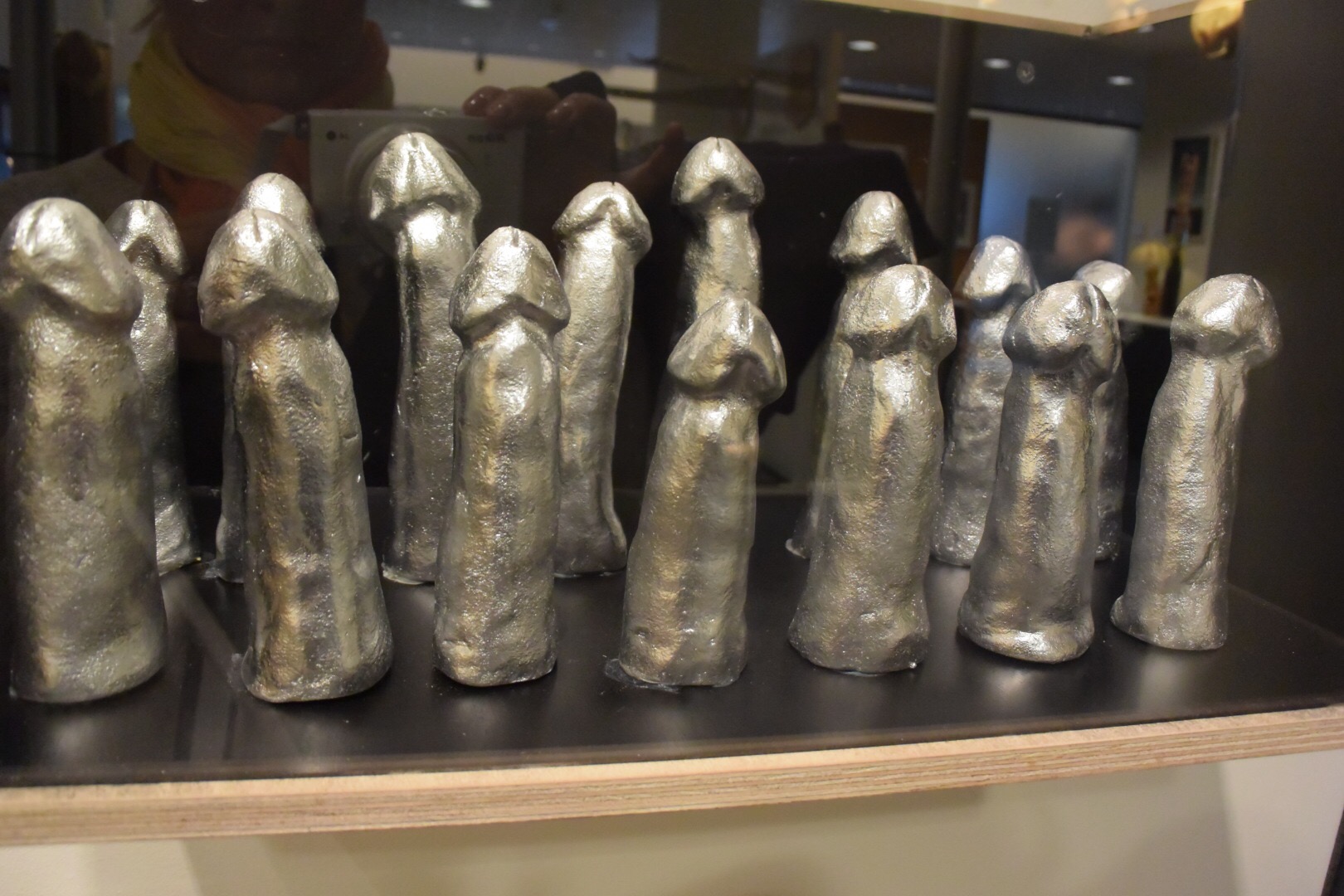 icelands penis museum (the icelandic phallological museum)