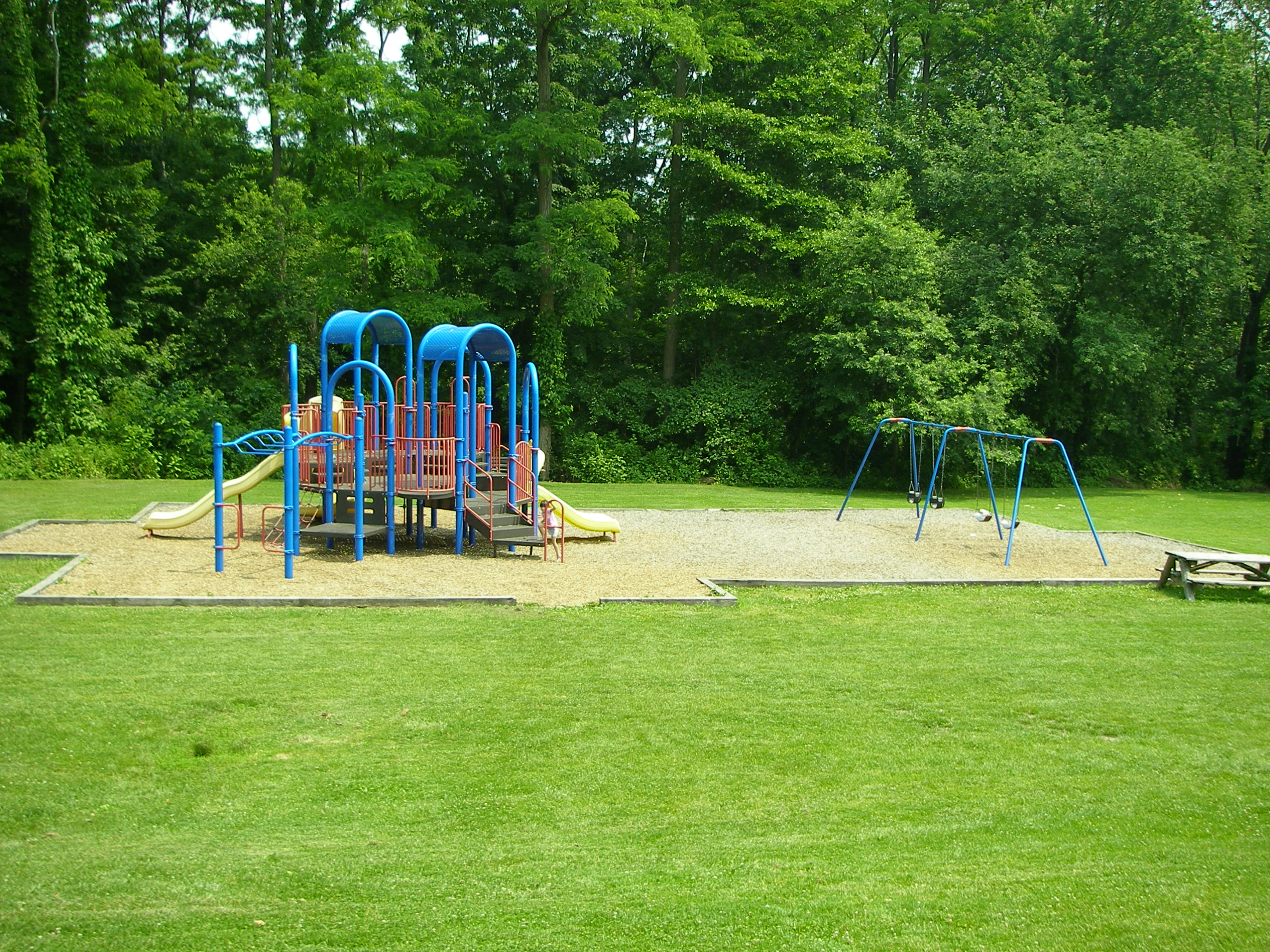 A look at Secor Woods Park