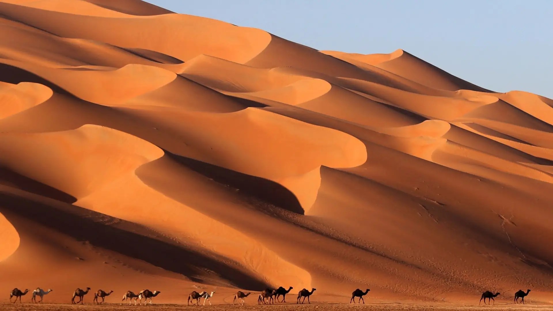 عبدالله الاشرم وش يرجع