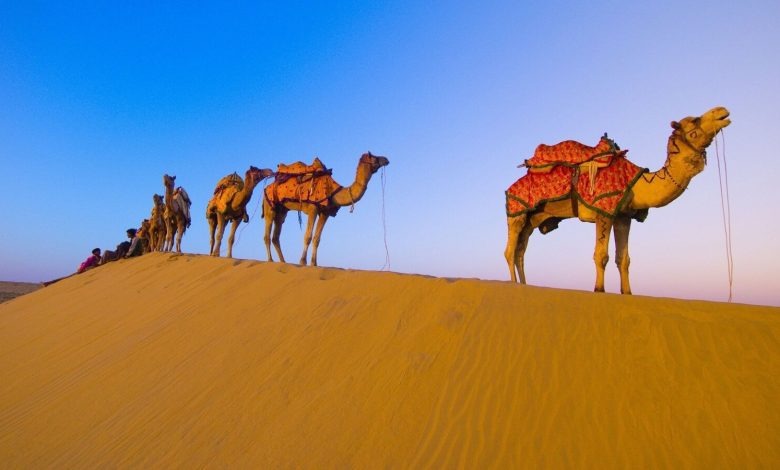 الحصيني وش يرجعون