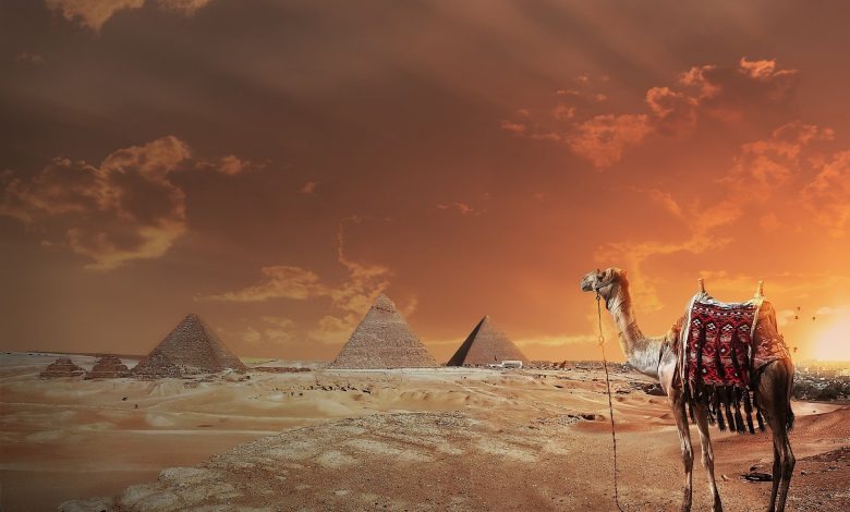 الحصيني وش يرجعون