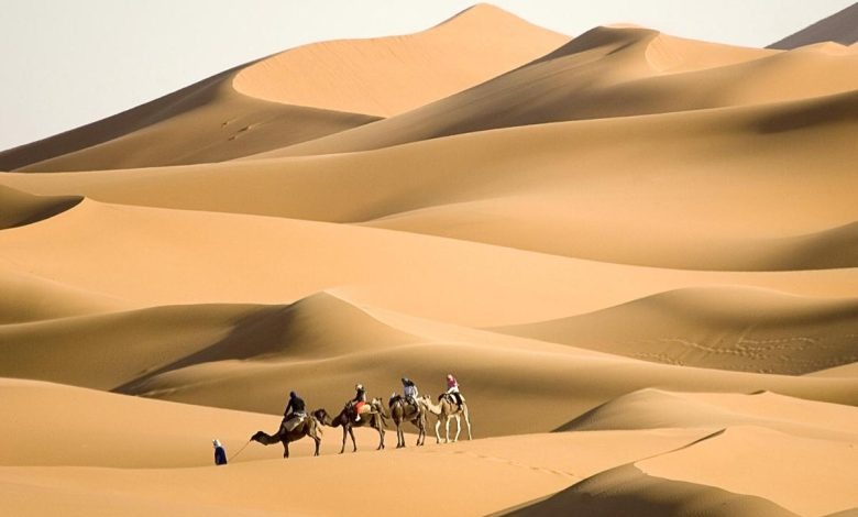 الحميد وش يرجعون