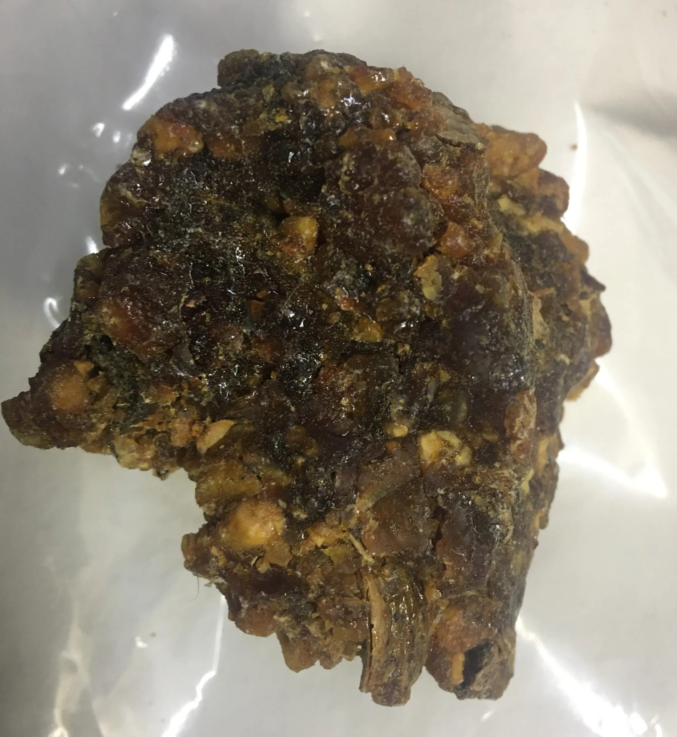 تجربتي مع المقل