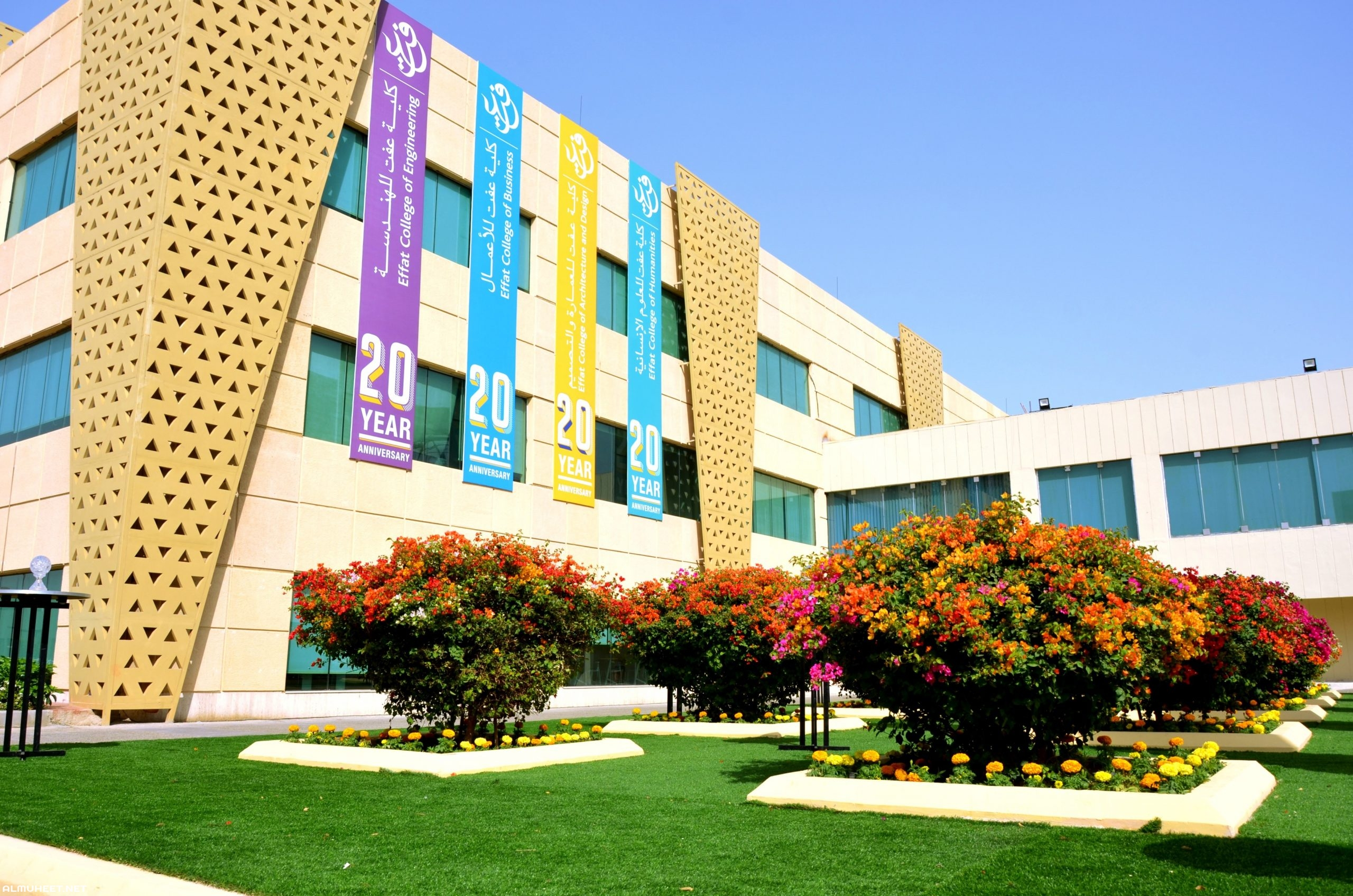 تخصصات كلية عفت