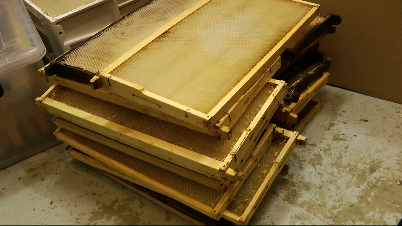 How To Clean Old Bee Frames at Teressa Getty blog