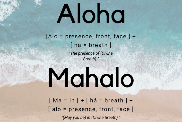 Mahalo x Aloha As palavras por trás do nosso negócio Mahalo Surf