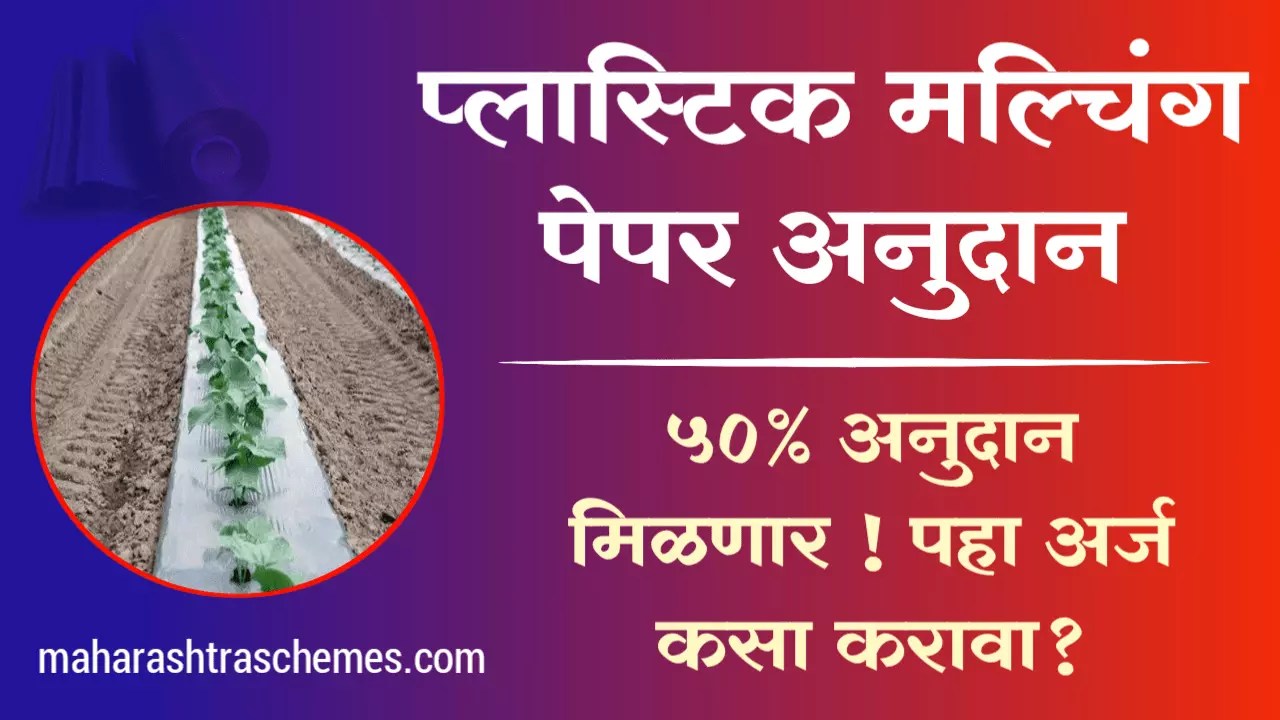 प्लास्टिक मल्चिंग पेपर अनुदान योजना Plastic Mulching Paper Yojana