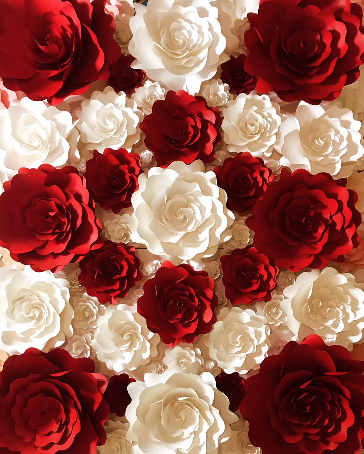 Red and White all rose Wall Mahi Rehan