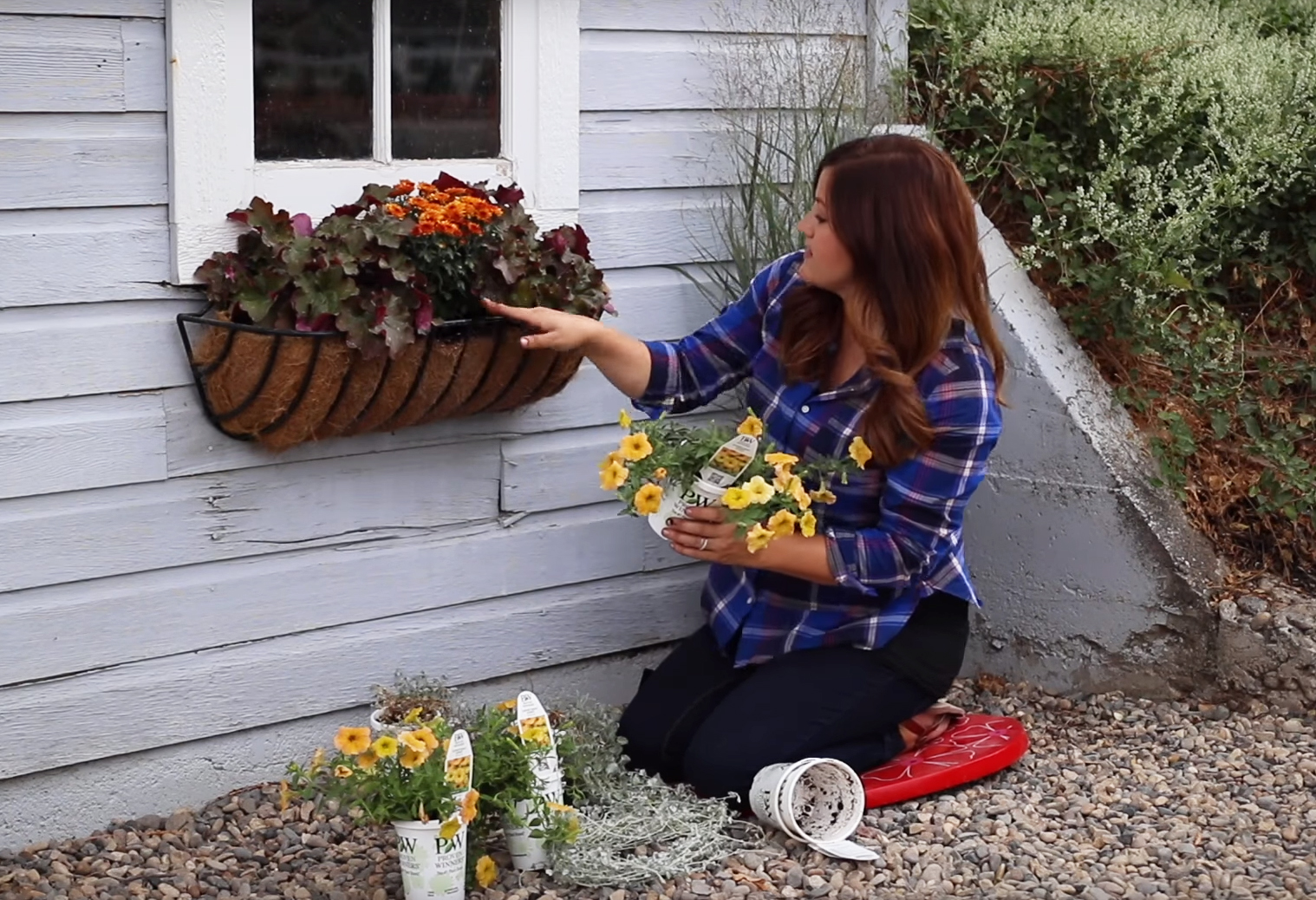 Video HowTo Fall Window Basket Mahoney's Garden Center