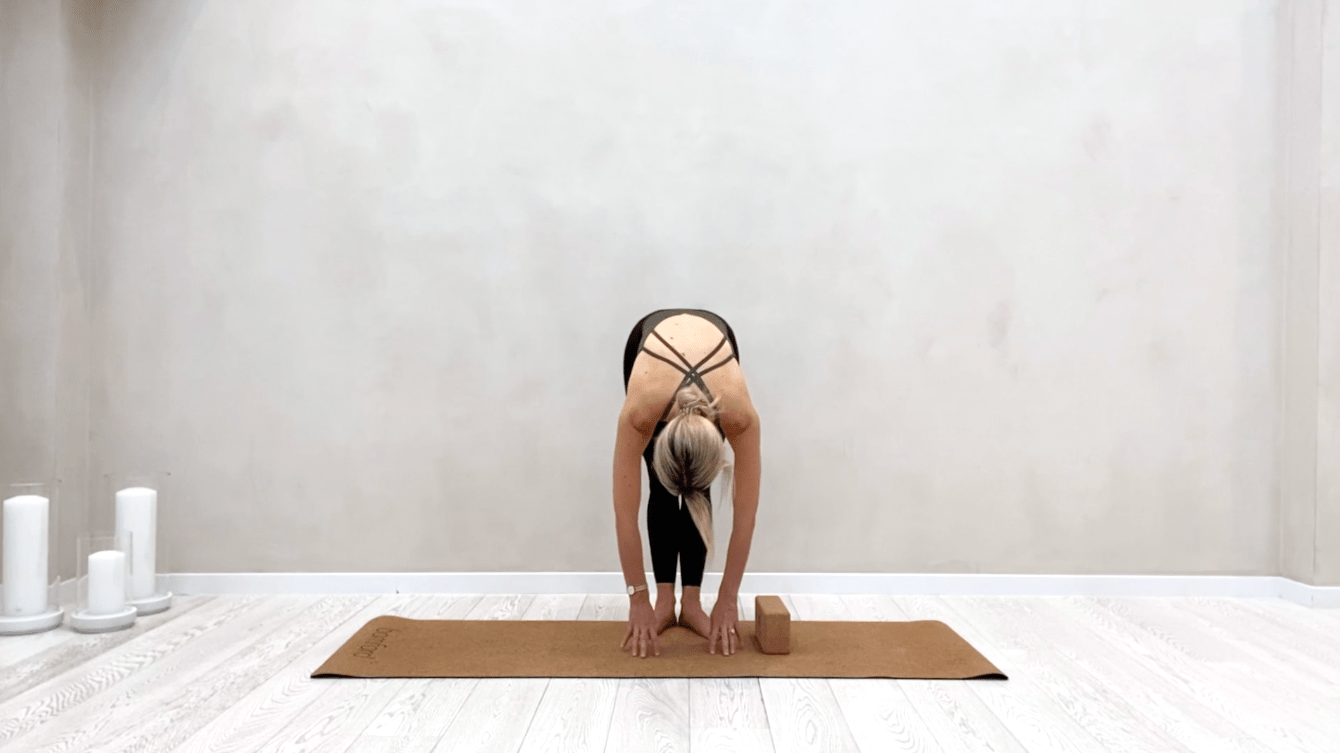 10 // technique tutorial roll down MAIA Well Co.