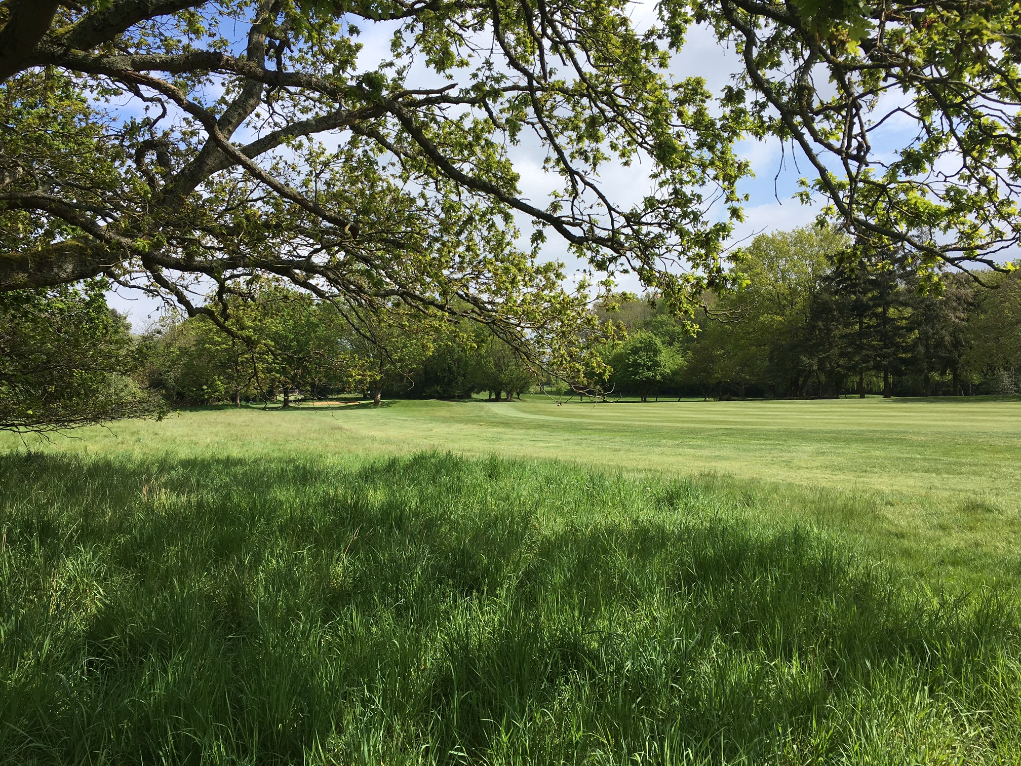 Ecology reports show biodiversity importance of Maidenhead Golf Course