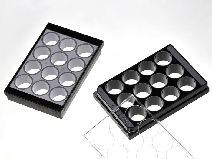 12 Well plate with 1.5 glasslike polymer coverslip bottom, tissue