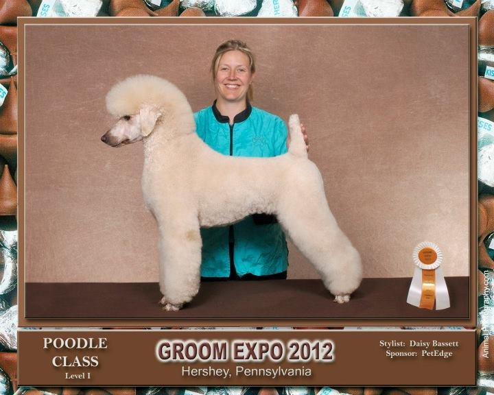 Dogs by Daisy Hamilton Dog Groomer & K9 Stylist