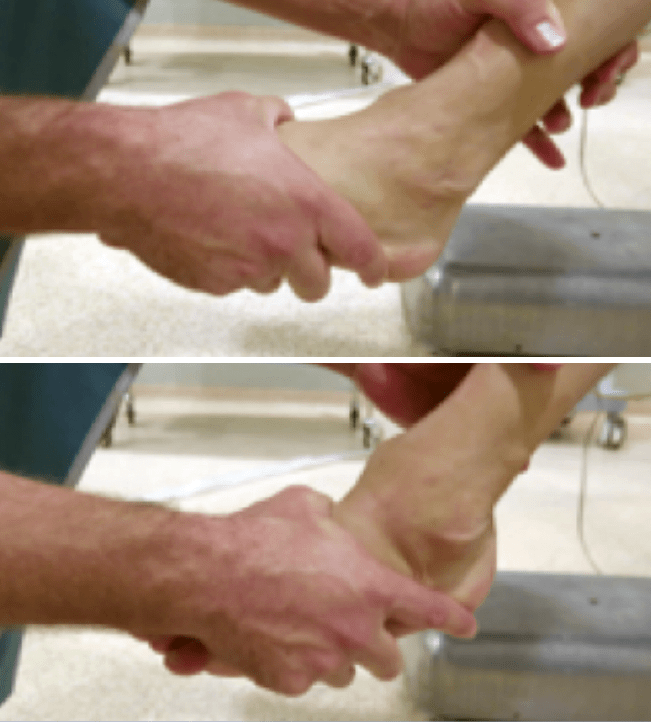 figura2.png FONDOSCIENCE