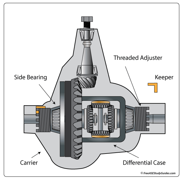 Differential Side Bearings