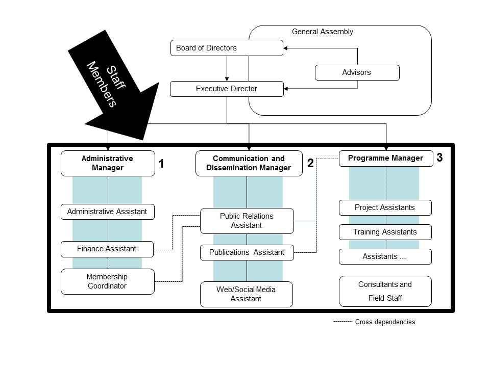 Organizational Structure of an NGO
