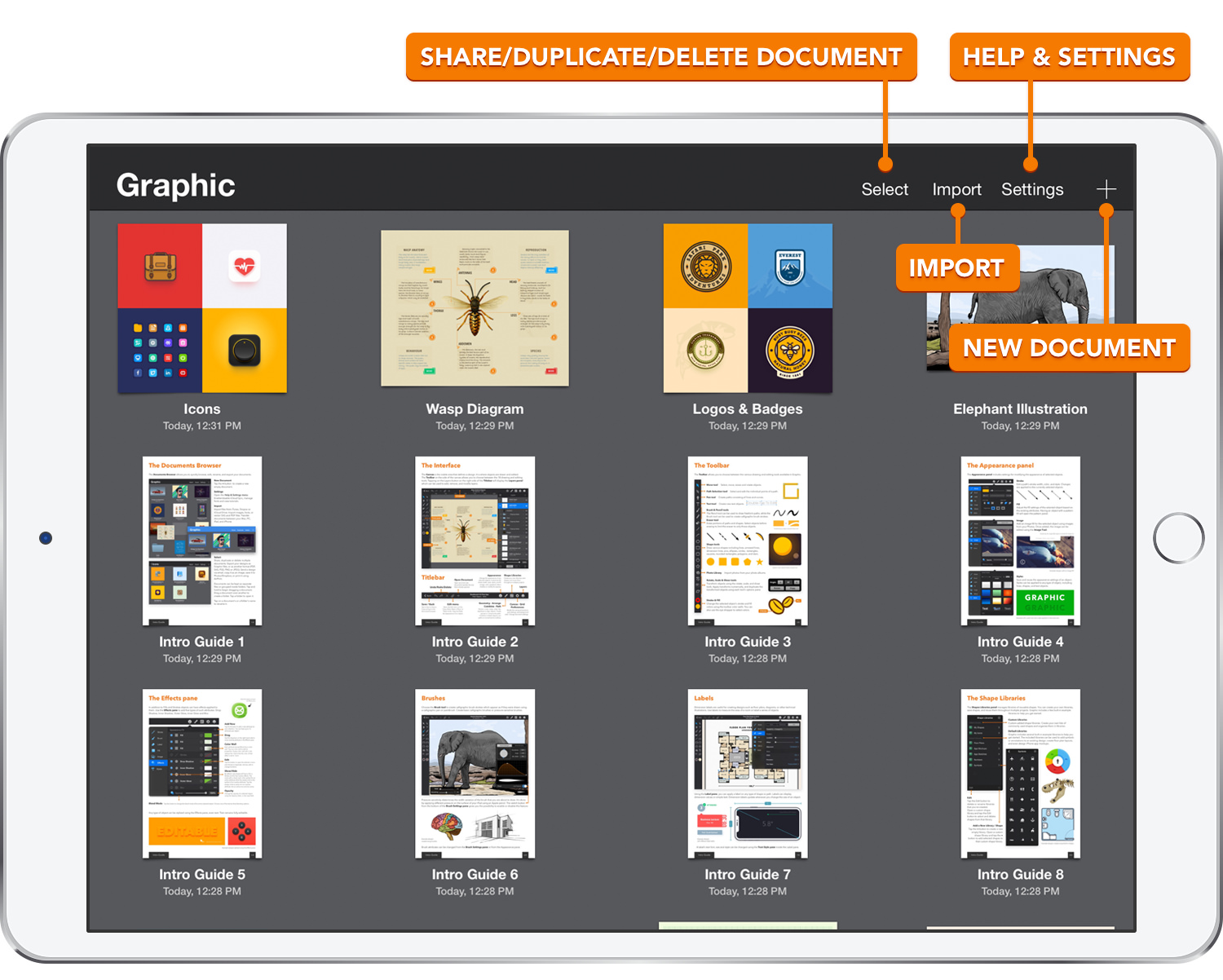 Graphic Documents