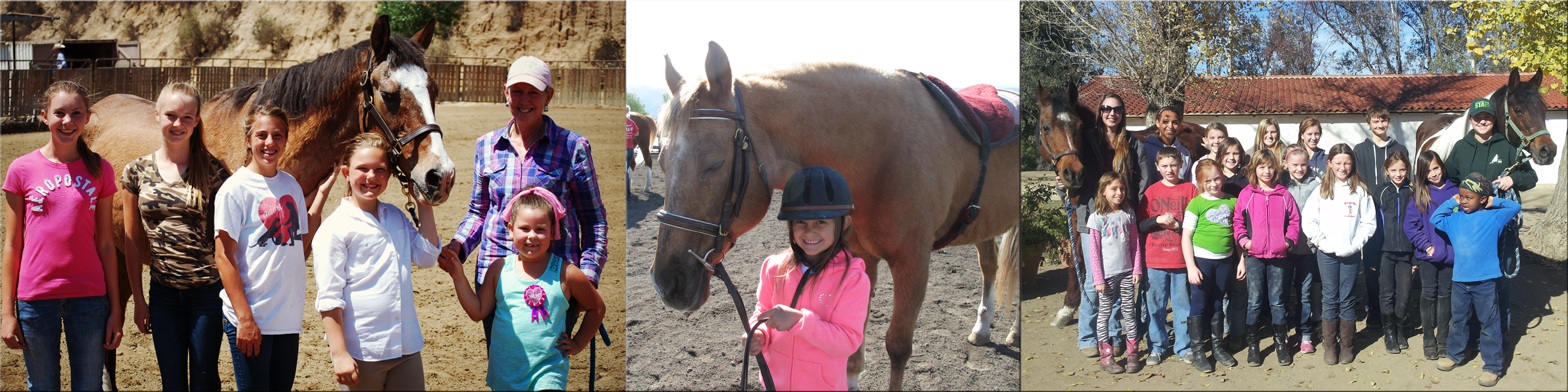 Home Horse Riding Training Boarding Temecula CA Green Acres