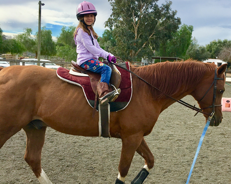 Lessons Horse Riding Training Temecula CA Green Acres
