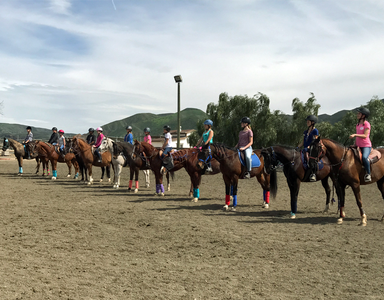 Lessons Horse Riding Training Temecula CA Green Acres