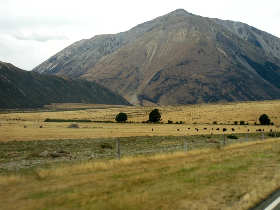 Paysage sur la route entre Kumara Junction et Christchurch Alpine