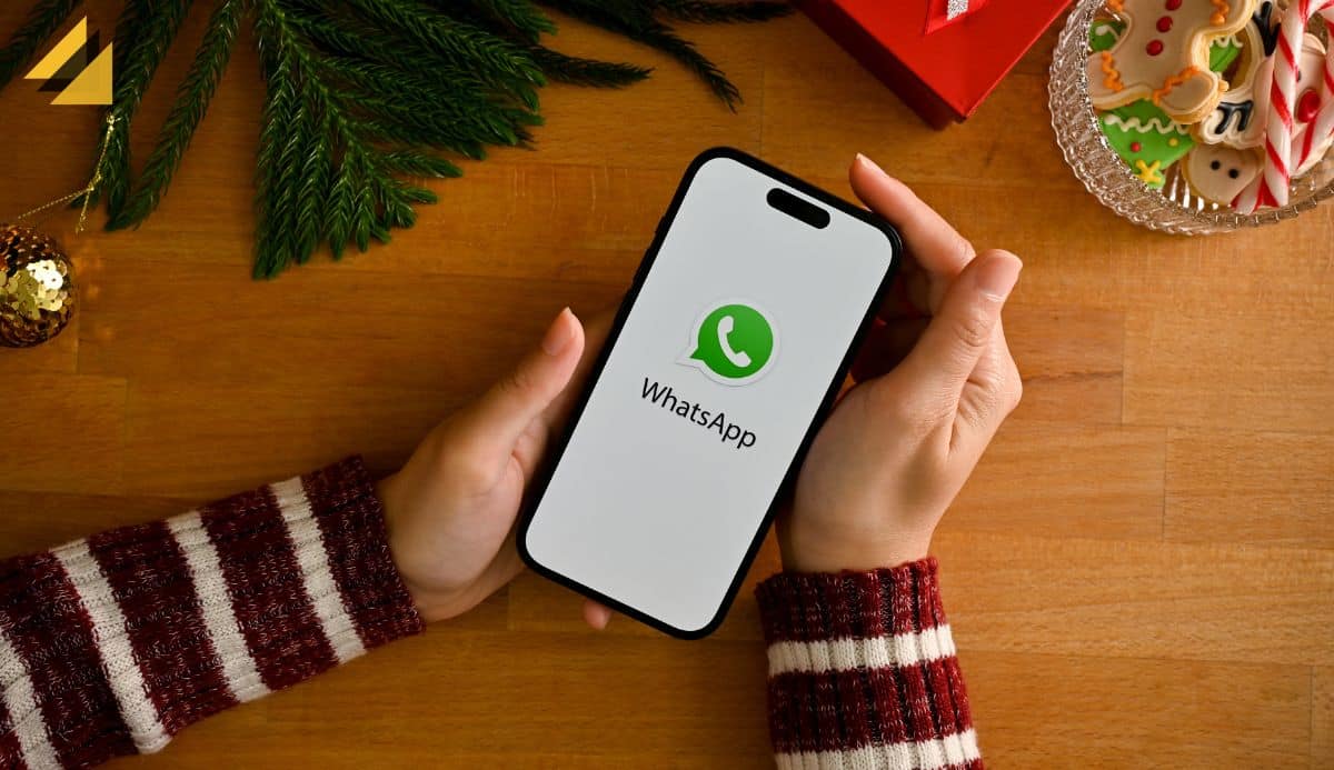 Buffalo Logistics WhatsApp How Useful is it? MAILBOX MASTER