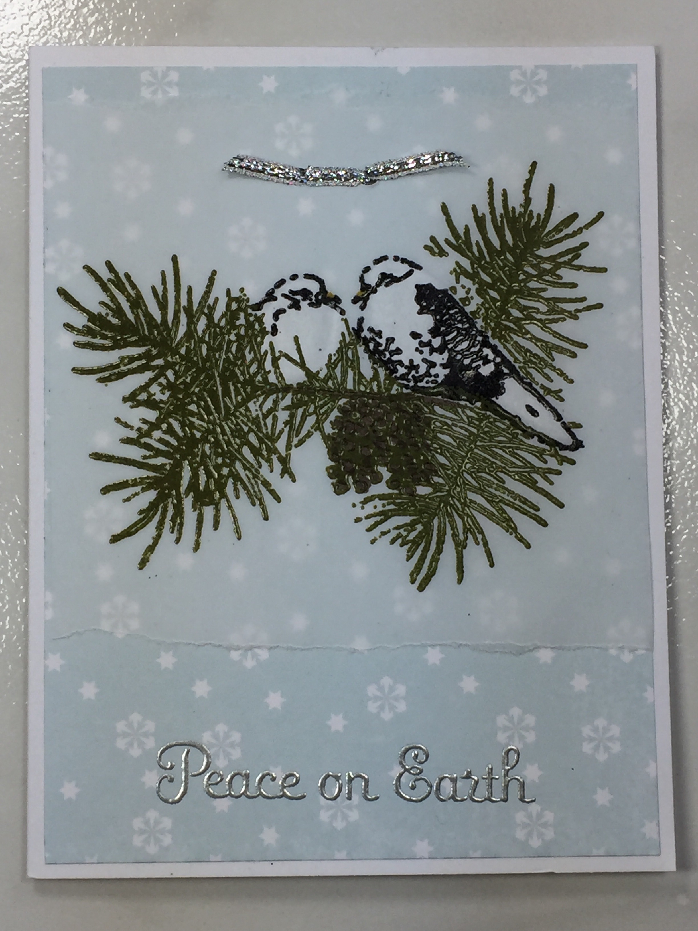 Christmas Cards Mailed to Me!