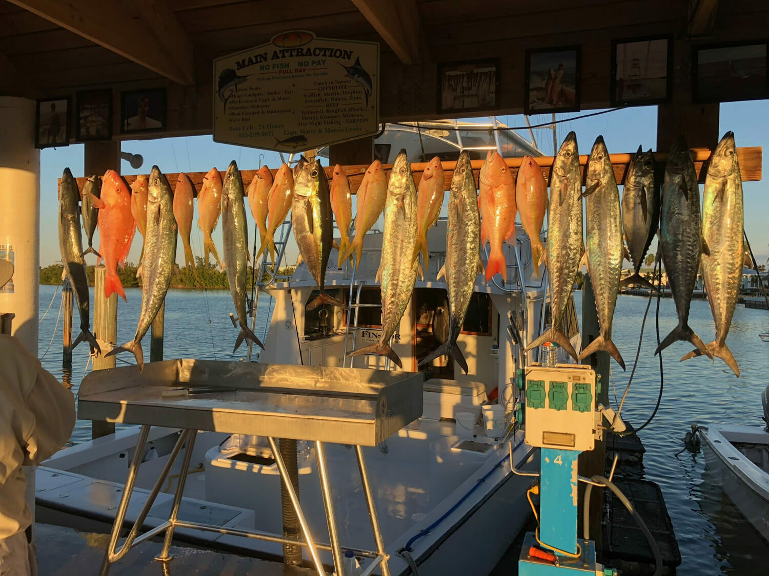 Yellowtail Snapper Fishing in the Florida Keys Marathon Islamorada