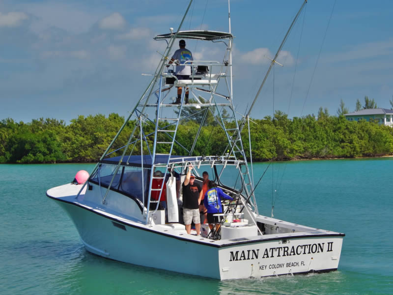 Marathon Charter Sportfishing Rates Main Attraction Boats and Options