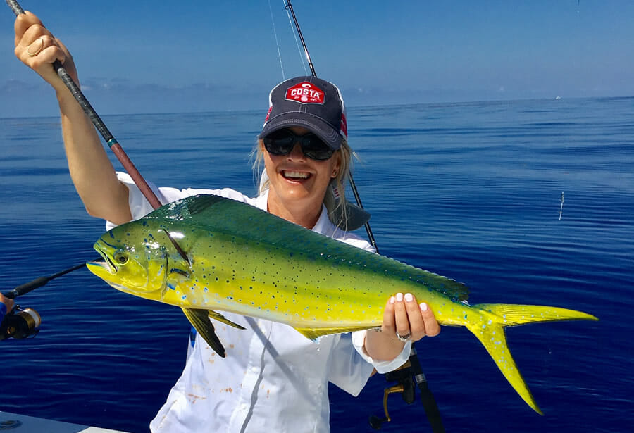 All About The Florida Keys Dolphinfish Facts About MahiMahi