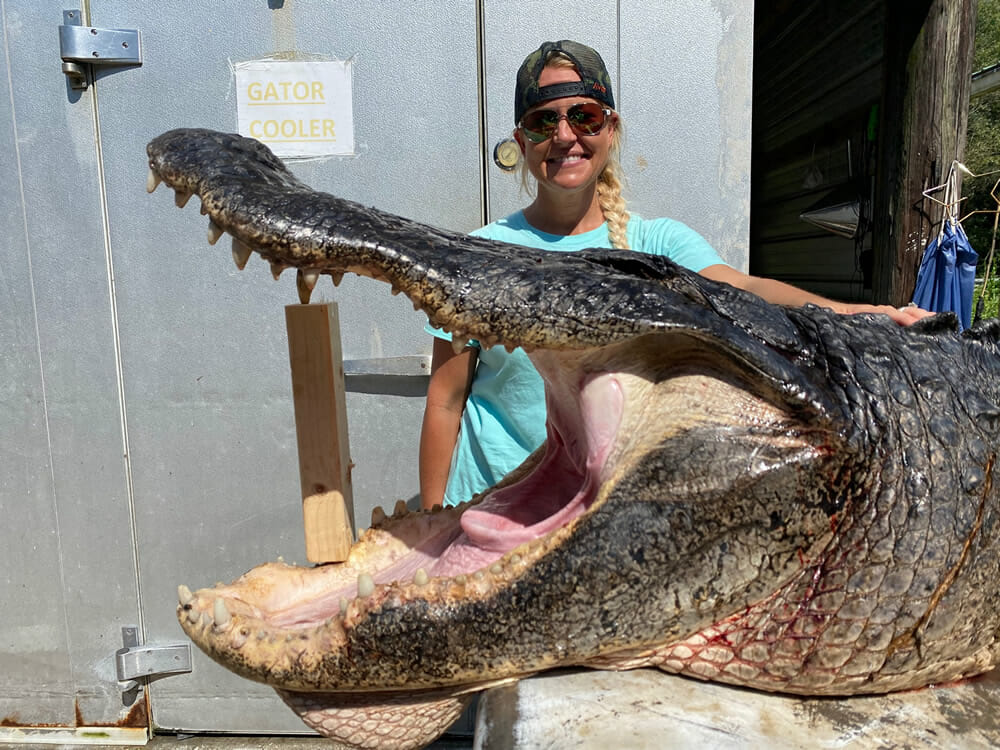 Sei ruhig Dosis Verwechseln alligators in key west Mit freundlichen