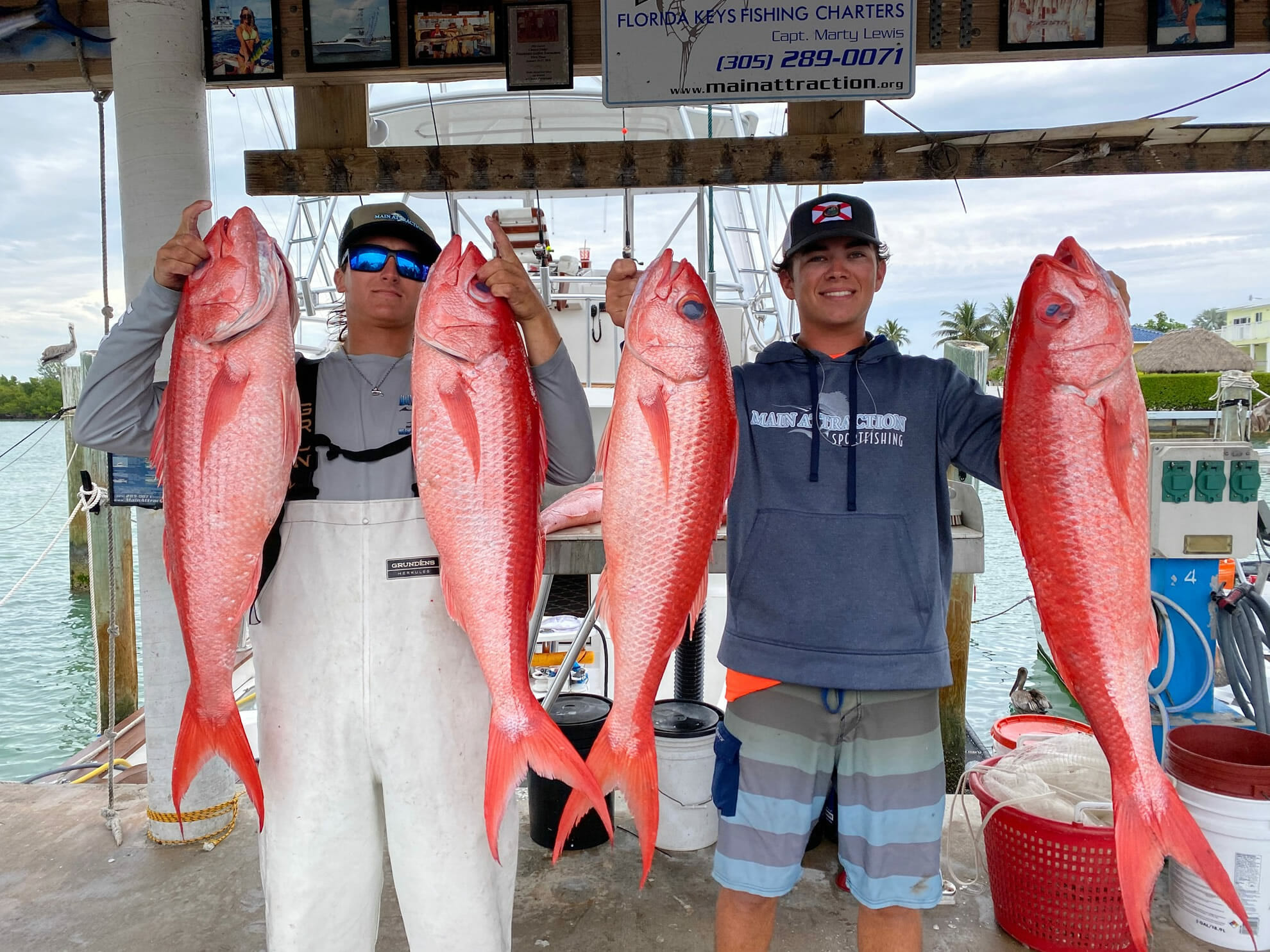 Queen Snapper Fishing in the Florida Keys Main Attraction Fishing