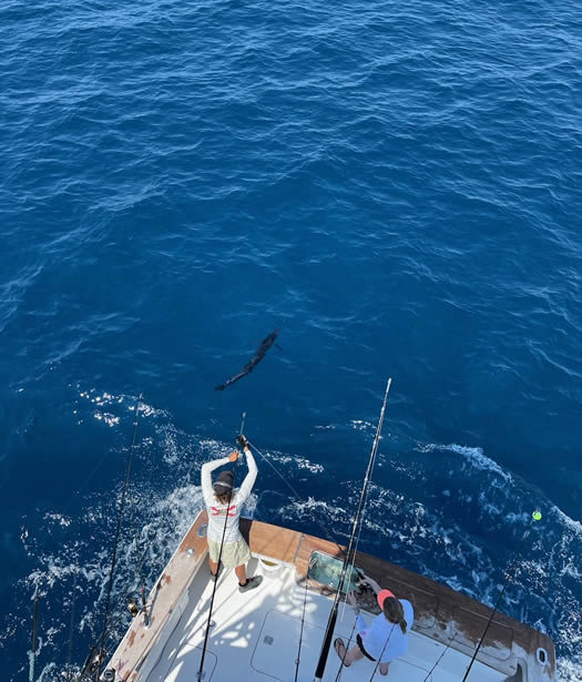 The "Secret" To Not Getting Seasick On Your Fishing Trip! - Florida Keys