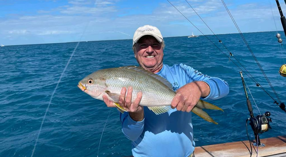 All About The Yellowtail Snapper Facts About Florida Keys Yellowtail