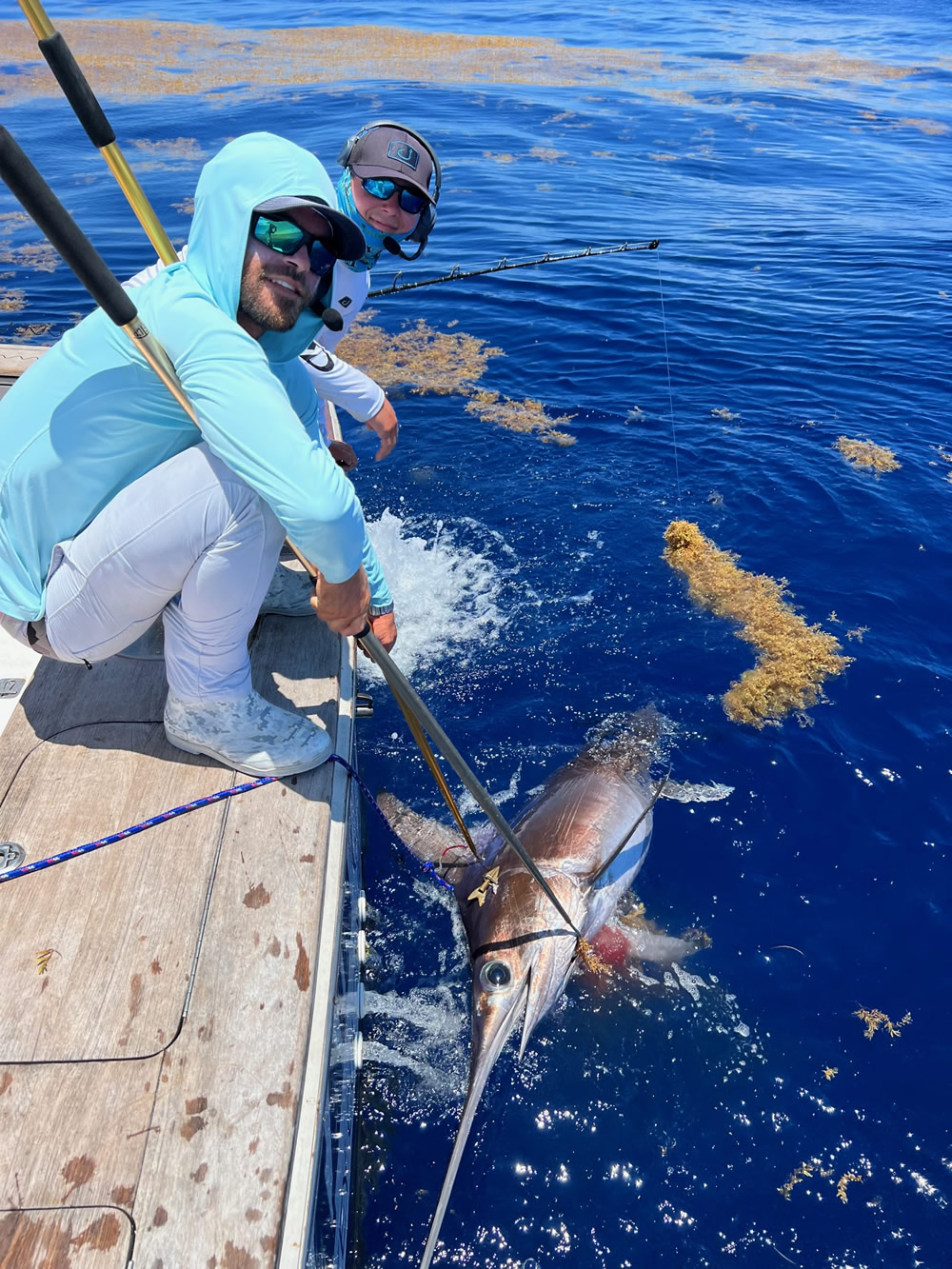 All About North Atlantic Swordfish Facts About Florida Keys Broadbills