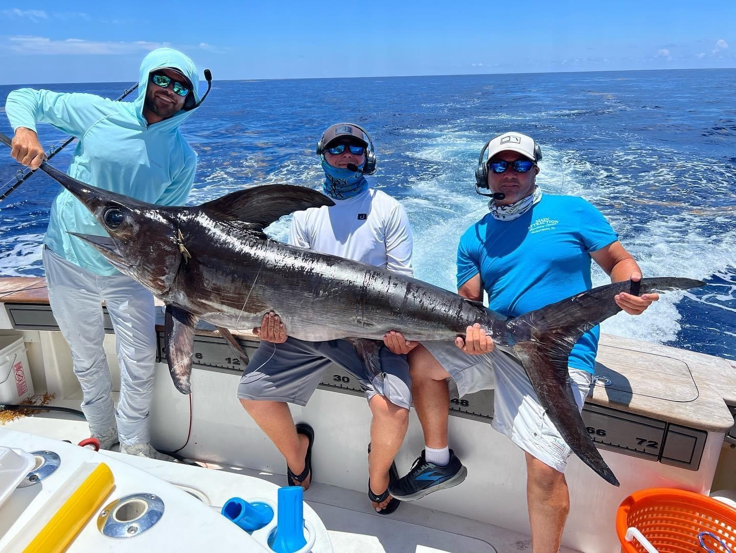 All About North Atlantic Swordfish Facts About Florida Keys Broadbills